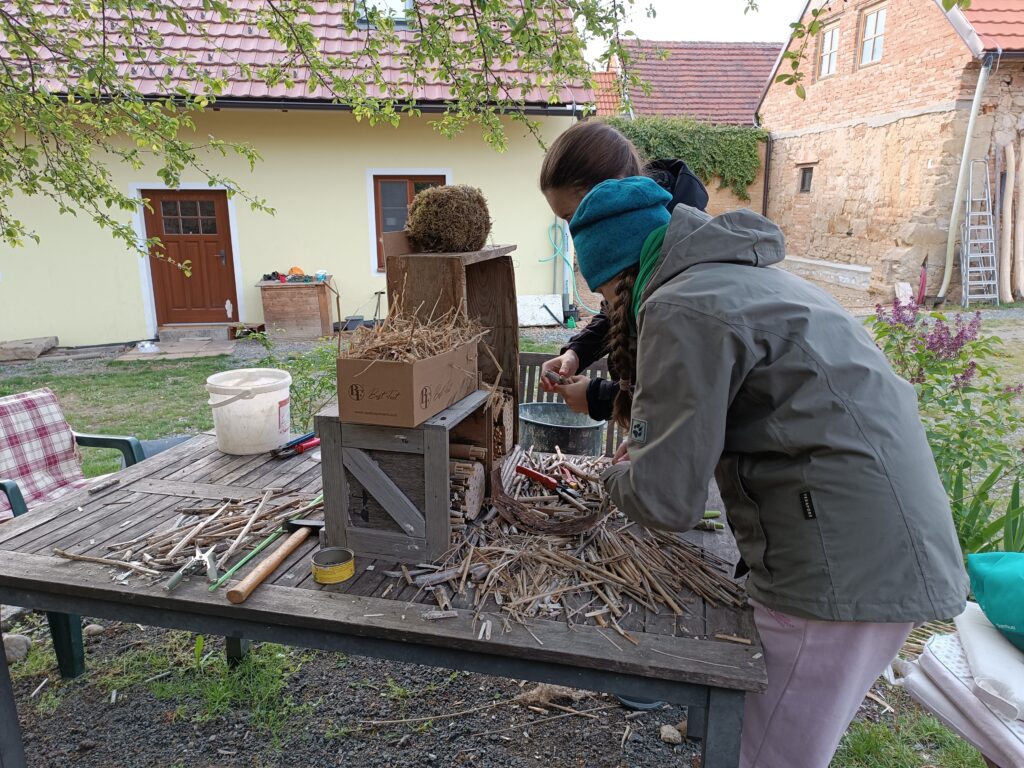 img 20240423 183709