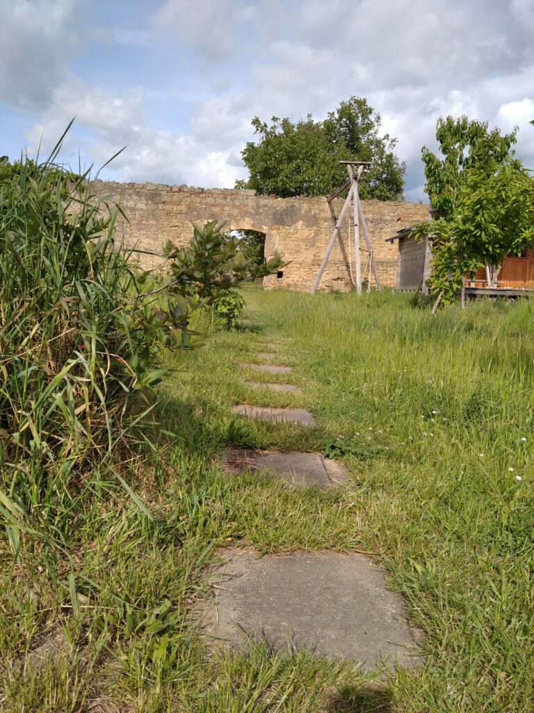 Projekty img 20250529 170307 1